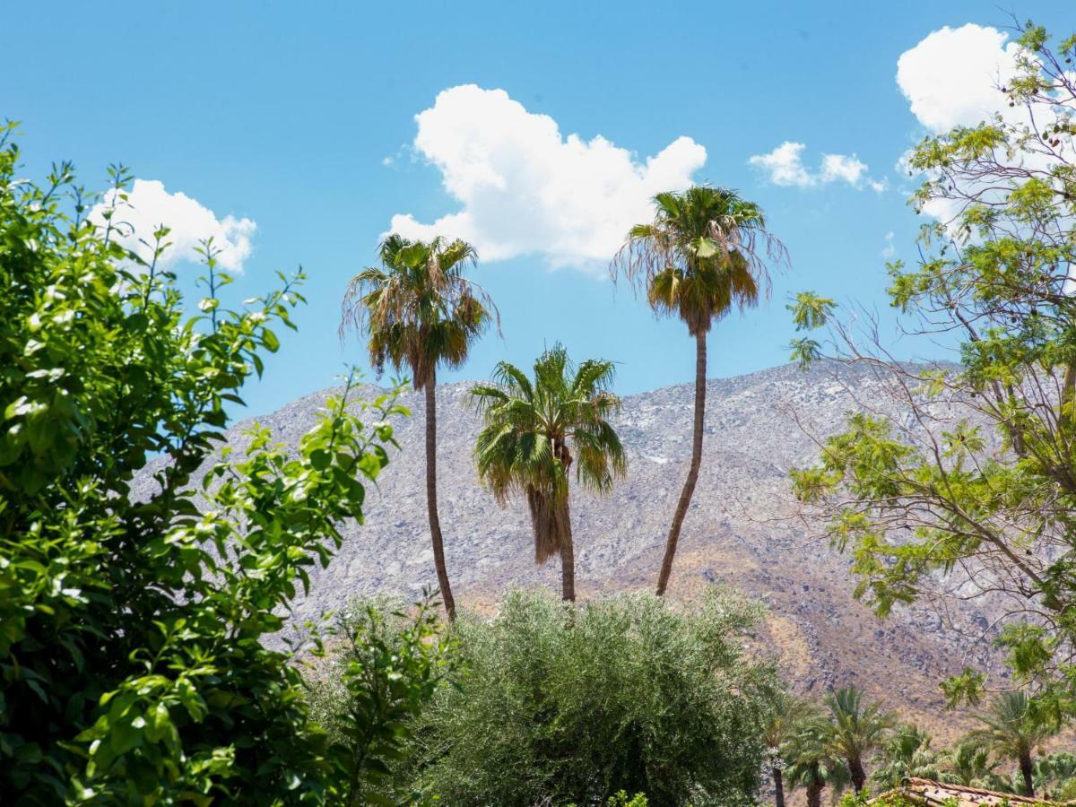 Lions Gate Estate Villa Palm Springs Dış mekan fotoğraf